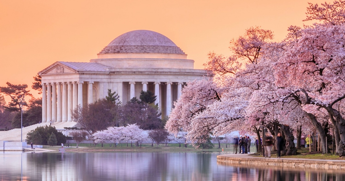 washington dc